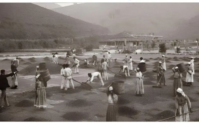 Dossiê sobre escravidão aponta conivência histórica de igrejas protestantes no Brasil