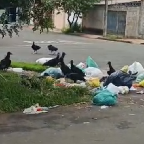 Morador ironiza sujeira no Candeias; Prefeitura pede empatia e cita impacto das chuvas na coleta