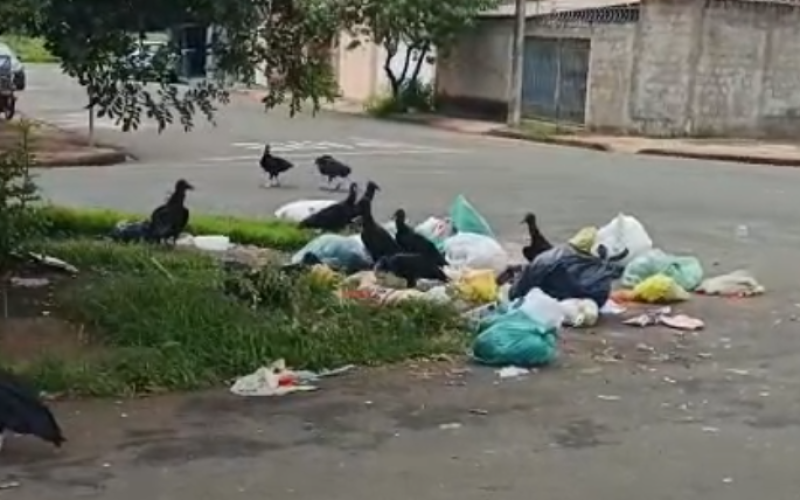 Morador ironiza sujeira no Candeias; Prefeitura pede empatia e cita impacto das chuvas na coleta